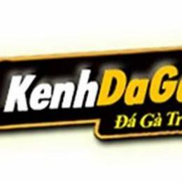 88.com đá gà 88.com