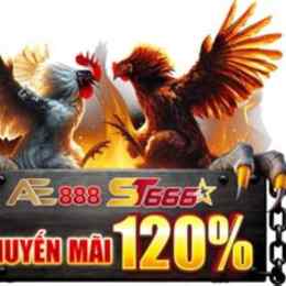 ae888 trang chủ nhà cái đá gà