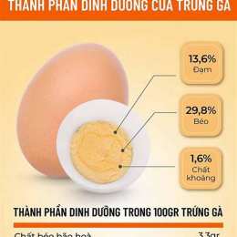 ăn trứng gà có tốt cho dạ dày không