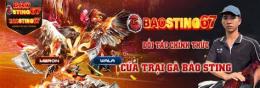 ảnh chụp màn hình baosting đá gà