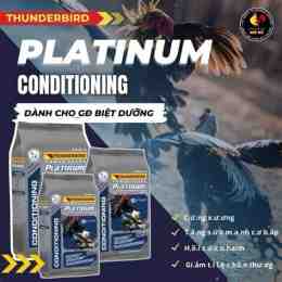 ảnh chụp màn hình cám gà đá thunderbird