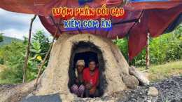 ảnh chụp màn hình câu tục ngữ chó ăn đá gà ăn sỏi