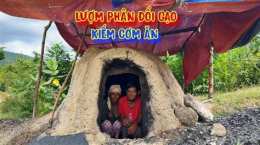 ảnh chụp màn hình chó ăn đá gà ăn sỏi là thành ngữ