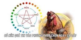 ảnh chụp màn hình coi màu mạng đá gà