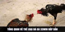 ảnh chụp màn hình đá gà 33win