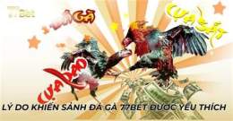 ảnh chụp màn hình đá gà 77bet