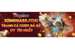 ảnh chụp màn hình đá gà 88 c6
