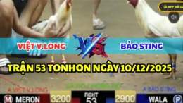 ảnh chụp màn hình đá gà bảo sting chồng độ 4 cái