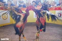 ảnh chụp màn hình da ga choi binh dinh
