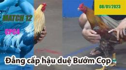 ảnh chụp màn hình đá gà cpc4 hôm qua