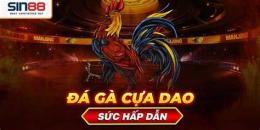 ảnh chụp màn hình đá gà cựa dao noci88vn.com