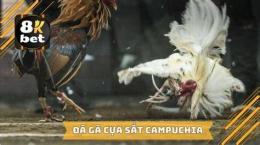 ảnh chụp màn hình da ga cua sat https:gacam999.com