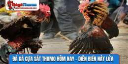 ảnh chụp màn hình da ga cua sat thomo hom nay