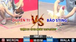 ảnh chụp màn hình đá gà duyên ti vs bảo sting