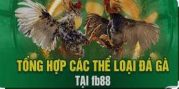 ảnh chụp màn hình đá gà fb88