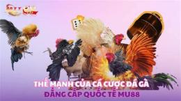 ảnh chụp màn hình đá gà mu88