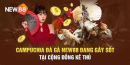 ảnh chụp màn hình đá gà new88 https:1new88.com