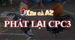ảnh chụp màn hình đá gà phát lại cpc3