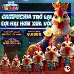 ảnh chụp màn hình đá gà st666