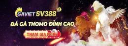 ảnh chụp màn hình da ga sv388 gavietsv388.org