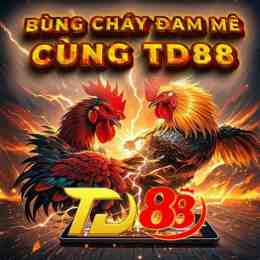 ảnh chụp màn hình đá gà td88
