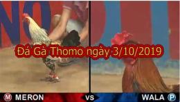 ảnh chụp màn hình đá gà thomo 23 10