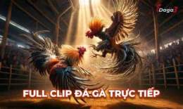 ảnh chụp màn hình đá gà thomo 30 tháng 04