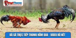 ảnh chụp màn hình đa ga thomo 67 net