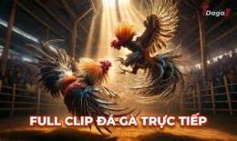 ảnh chụp màn hình đá gà thomo c2 trận 26
