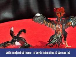 ảnh chụp màn hình da ga thomo tong hop