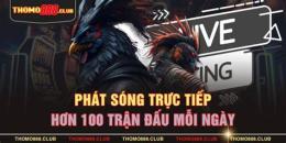 ảnh chụp màn hình đá gà thomo888