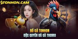 ảnh chụp màn hình đá gà tonhon coderdojo