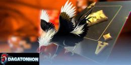 ảnh chụp màn hình da ga tonhon dojo