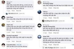 ảnh chụp màn hình đá gà trên bình luận