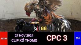 ảnh chụp màn hình đá gà trực tiếp cpc3 ngày 27