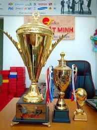 ảnh chụp màn hình gà cúp đã