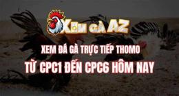 ảnh chụp màn hình gà đá cpc1