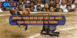 ảnh chụp màn hình ga da cua sat hay nhat viet nam