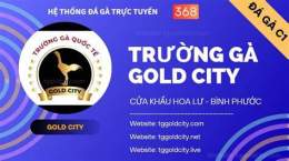 ảnh chụp màn hình gà đá gold city