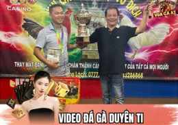 ảnh chụp màn hình gà duyên ti đã thomo