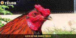 ảnh chụp màn hình gà xanh trích đá với gà chuối