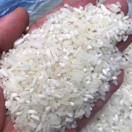 ảnh chụp màn hình gạo trắng hạt dài việt nam