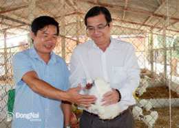 ảnh chụp màn hình giống gà mã đà