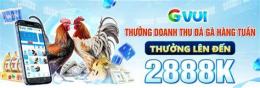 ảnh chụp màn hình gvui đá gà