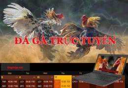 ảnh chụp màn hình kèo đá gà 789