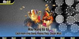 ảnh chụp màn hình mau mạng gà đá