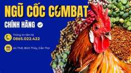 ảnh chụp màn hình ngủ cốc gà đá