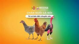 ảnh chụp màn hình nuoi ga noi da