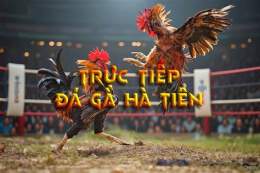 ảnh chụp màn hình phát lại đá gà xà xía