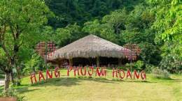 ảnh chụp màn hình phượng hoàng không đá gà